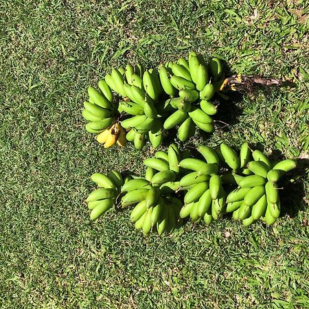 프티-부르 Ti Citron 빌라 외부 사진
